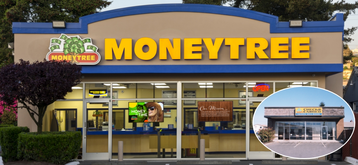 Money tree outlet near me